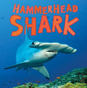 hammerhead_shark