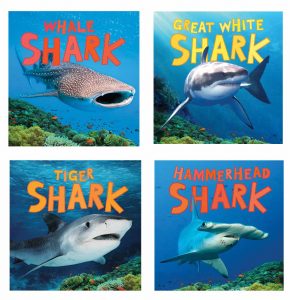 discover sharks