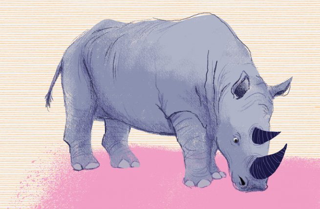 rhino